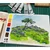 Schmincke Horadam Gouache 15 ml - 354 Madder Lake Deep
