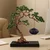 Xiyou Ukrasna figura Bor