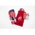 Nine Sport Kostobrani FK Crvena Zvezda, Crveno-plavi