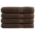 shumee Premium brisače za savno 4 kosi rjava 80x200 cm 600 g/m2 bombaž