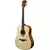 LAG T88D TRAMONTANE 88 FOLK DREADNOUGHT akustična kitara NATUR