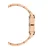 Ročna ura Daniel Wellington Link DW00100210 Zlata