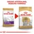 Royal Canin Suva hrana za pse Maltese Adult 1.5.