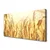 tulup.si Slika na platnu Klasje field narave 120x60 cm