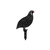 WALLXPERT Dekorativni set Quails