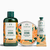 The Body Shop Satsuma Gel za tuširanje Gelovi za tuširanje
