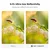 K&F 95mm UV Filter Ultra Low Reflection