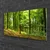 tulup.si Steklena slika Forest narava pot 120x60 cm 2 obešalnika