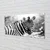 tulup.si Steklena slika Retro zebra 120x60 cm 2 obešalnika
