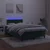 Vidaxl Box spring postelja z vzmetnico LED tem. zelena 120x200cm žamet