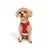 Paws & Whiskers Am za pse Air-Mesh, Crveni