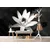 Tapeta črno-bela vodna lilija - 343x231