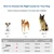 Dogness Povodac za pse, XL, Crni