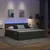 Krevet S LED lampica s pohranom Tamno siva 180 x 200 cm tkanina