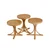 Hanah Home set od 3 umetnutih stočića Palm 3, hrast