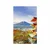Plakat pogled na Chureito Pagodo in goro Fuji - 40x60 silver