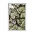 Plakat lokvanji na vrtu - 40x60 white