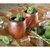 shumee Vrček Cilio Moscow Mule za Moscow Mule, nerjaveče jeklo/baker, 0,5 l, premer 9,5 x 9,5 cm