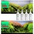 Neo Solution 1 - gnojilo NPK in Mg z makroelementi 300ml