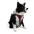 Paws & Whiskers Am za pse Air-Mesh, Bordo