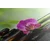 Slika Feng Shui tihožitje - 80x40