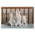 Little Dutch - Darilni paket Miffy - Lucky Leaves