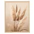 WallXpert uramljena slika na platnu Cc-D-Ah-1010, bež pampas trava na svetloj pozadini, 70 x 95 cm