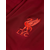 NIKE LFC DF STRK Football pants