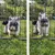 Rebel Modularni kavez ogradica za pse Animals RA-1206, 80x60 cm, Crni