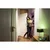 Osram RGBW LED Smart+ žarnica 9W bluetooth E27 mat 806lm