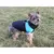 Vest Doggie Jacket za pse modra oblačila velikost 3XL