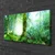 tulup.si Slika na platnu Forest moss narava 100x50 cm