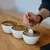 Rhinowares cupping skodelica - bela