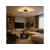 HOME LIGHT Solea 163 CCT LED plafonjera crna