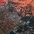 Vidaxl Pralna preproga Patchwork 160x230 cm večbarvna