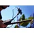 IK Multimedia iRig Pre HD Mic Interface