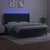Vidaxl Box spring postelja z vzmetnico LED tem. zelena 180x200cm žamet