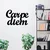 Atelier Del Sofa Zidna dekoracija Carpediem 1, 50x38 cm, 1.2mm, Crna