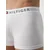 Tommy Hilfiger Underwear Boksarice pegasto siva/črna/bela