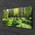 tulup.si Slika na platnu Forest grass nature rastlin 100x50 cm