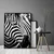 shumee PLAKAT ZA SLIKE V OKVIRJU 53x73 cm Zebra 7 P578