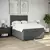 vidaXL Box spring posteljni z vzmetnico temno siv 140x190 cm blago