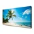 tulup.si Slika na platnu Palm tree beach landscape 140x70 cm