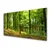 tulup.si Steklena slika Forest narava pot 100x50 cm 4 obešalnika