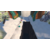 XBOXONE/XSX The Grinch: Christmas Adventures