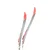 Rossignol X-IUM Premium S2 + Premium Skate Komplet tekaških smuči 2027