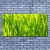 tulup.si Slika na platnu Grass nature rastlin 125x50 cm