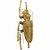Meblo Trade Zidni ukras Longicorn Beetle Gold 27x145x7 cm