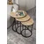 Hanah Home set od 3 pomoćna stola Milas 3, crni / bor