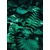 Fototapeta sveže tropsko listje - 196x270